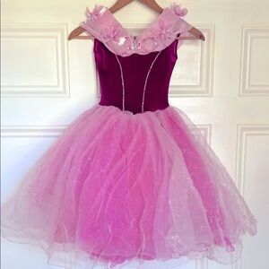 Pink Princess Velvet & Tulle Costume